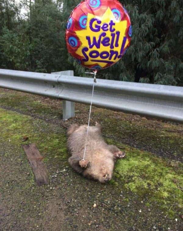 I’m sure he’ll be fine