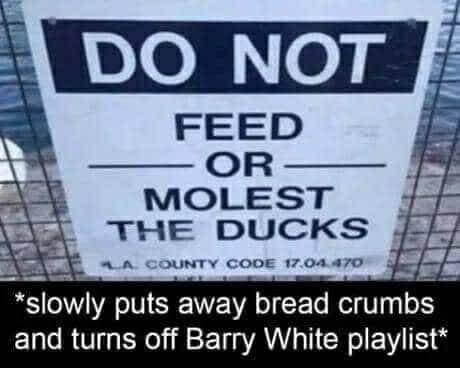 Well fuck a duck then